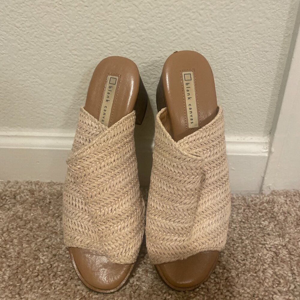 Blank Canvas Shoes